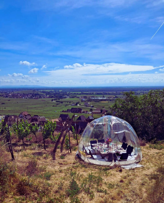 Tea Time Bridgerton dans les vignes le 06/06 💐☕️