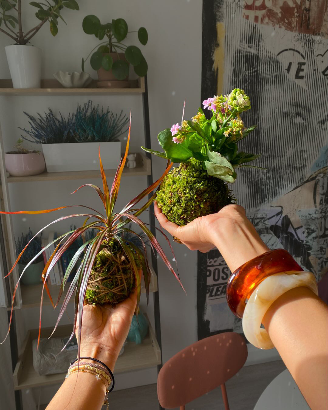 Atelier Confection de Kokédama avec Pomelo le 24/01 au Zoo de Mulhouse 🪴